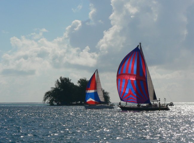 14- Regate sous spi devant la marina 